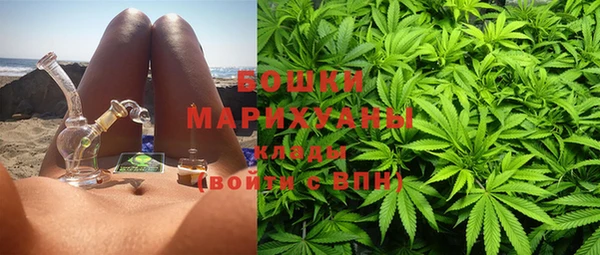 дмт Ладушкин