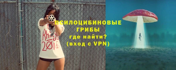 прущие грибы Алексеевка