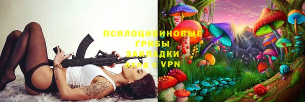 прущие грибы Алексеевка