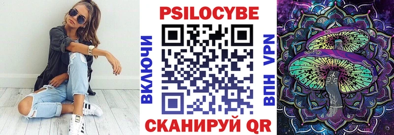 Галлюциногенные грибы Psilocybine cubensis  Артём 